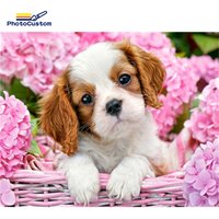 PhotoCustom 5d Diamond Painting Full Square Round Drill Diamond Embroidery Cute Dog Animals Home Art Decoration