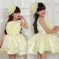 Little Light 3D Floral Sleeveless Birthday Princess Dress Fashionable Party Dress Ages 3 8
