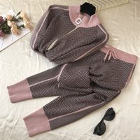 clothing fashion stand up collar zipper knitted tops pants two piece suit