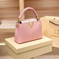 Guangzhou Shiling 2024 New Ostrich Pattern V-shaped Small And Light Luxury High Sense Handheld Crossbody Bag
