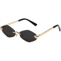 WILD ELEGANCE Leopard Accent Frameless Sunglasses