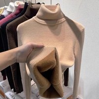 Clothing Plus Velvet Thickening Autumn Winter Style One Piece Mink Velvet Inner Top Bottoming Shirt Winter Thick