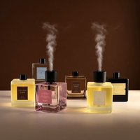 Home Fragrance Diffuser Flameless Fragrance Diffuser Indoor Hotel Use Long Lasting Fragrance Bathroom Deodorizer