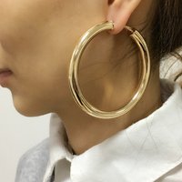 European American High quality Hoop Earrings Fashionable Exaggerated Unique Versatile Earrings
