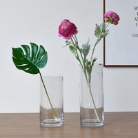 Home accessories living room restaurant office decoration blown transparent hydroponic glass cylindrical straight glass vase