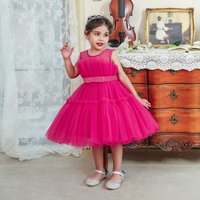 Baby clothes Girls‘ dress Sleeveless children’s holiday Show dress Birthday party Pompadour Princess dress