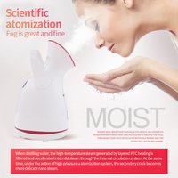 face steaming instrument moisturizing instrument beauty instrument household hot steam nano spray heat spray fruit vegetable machine