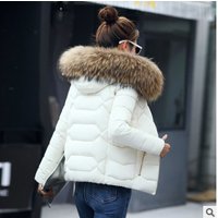 Clothing Down Cotton Jacket Short Autumn Winter Cotton Coat Large Fur Collar Cotton Jacket