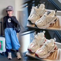 Student Sports 2024 Autumn Leisure Dads Shoes Spring
