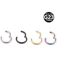 G23 Titanium Nose Ring Jewelry European American Split Ring Titanium Steel Human Septum Piercing Nasal Ornaments Seamless Ring Earrings Hinge