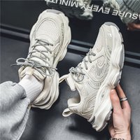 Shoes Mesh Shoes Versatile Platform Sneakers Casual Daddy Shoes