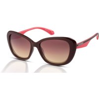 Save 18% at Genuine Style on Superdry SDS-5022 Burgundy Sunglasses