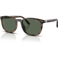 Polo Ralph Lauren PH4208U Men's Sunglasses 597471 Shiny Havana/Bottle Green