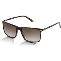 Fila SFI447 Sunglasses 0C10 Shiny Havana/Brown Gradient