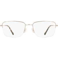 FLEXON H6090 Men's Glasses 710 Gold