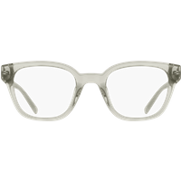DKNY DK5081 Glasses 011 Crystal Sage Fog