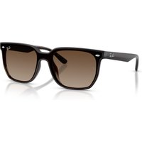 Ray-Ban RB4466D Sunglasses 714/13 Transparent Dark Brown/Brown Gradient