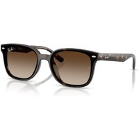 Ray-Ban RB4461D Sunglasses 710/13 Havana/Gradient Brown