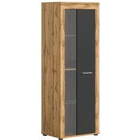 xonox.home Vitrine Jam Eiche Wotan Nachbildung grau B/H/T: ca. 60x159x35 cm