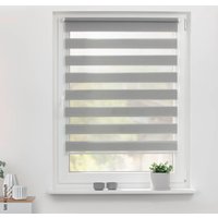 LICHTBLICK Doppelrollo Duo grau B/L: ca. 60x150 cm