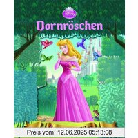 Disney: Dornröschen mit Kippbild: Buch zum Film