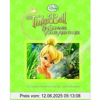 Disney: Sb Tinkerbell 3