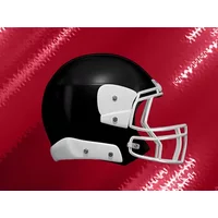 Atlanta Falcons vs New Orleans Saints