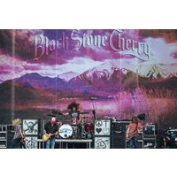 Black Stone Cherry