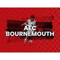 Bournemouth vs Aston Villa