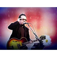 Elvis Costello