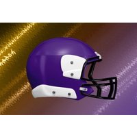 Minnesota Vikings vs Buffalo Bills