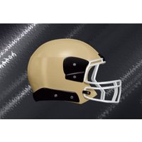 New Orleans Saints vs Green Bay Packers