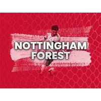 Nottingham Forest vs Fulham
