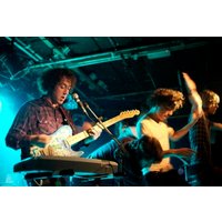 The Wombats