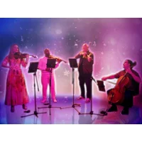 Vitamin String Quartet and Girl Named Tom