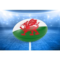 Wales vs New Zealand