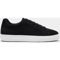 & Trainer