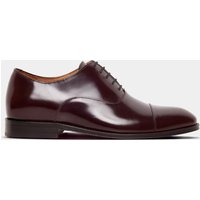 & Oxblood Oxford Shoe