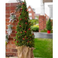 Doorstep Picea Glauca with Lights and Red Baubles