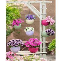 Pastel Globee Collection
