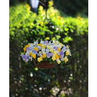 Pansy Cool Wave Pastel Mix