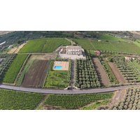 Randazzo - Feudo Vagliasindi -Wine Experience-