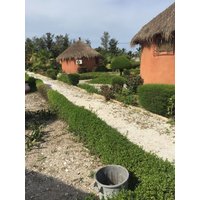 Dakar-regionen - Les Cristaux Roses
