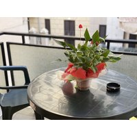 Ligurien - Hotel San Marco