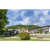Wolfach - Kurgarten-Hotel