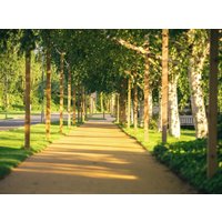 Cambridgeshire - The Willows Training Centre