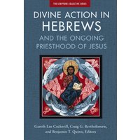 Divine Action in Hebrews, Paperback, Mill Press Christine