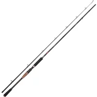 Spro Ruff BC Cast Big Bait Baitcastrute 2.4m 40–100g 2pc