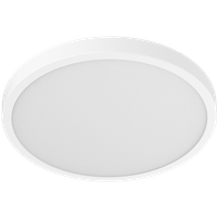 Mi Smart LED Ceiling Light D40