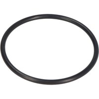 Motointegrator Oring parsun paf1506080002